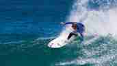 Surfing - Mark Harris - Wave - Gul board
