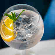 The Living Space - restaurant - gin