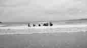 Black And White People Surfing