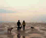 Couple & dogs - Holidaying on Watergate Bay beach
