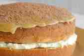 Fudge cake photo close up