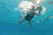 Girl swimming breaststroke in a swimming pool