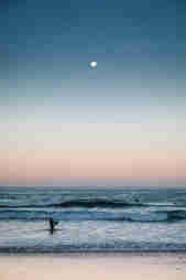 Surfers in the sea after sunset with the moon out