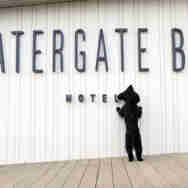 Watergate Bay Sign Dog Friendly