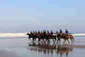 Group of people riding horses across the beach