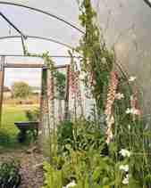 Poly tunnel